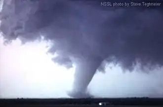 A gray tornado tilts to the right, with a grey cloud above.