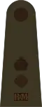 Lieutenant-colonel