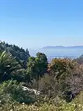 View of SF from the Garden.