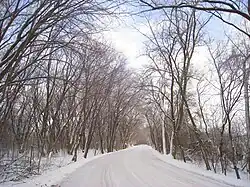 View of the arboretum in Winter.