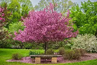 University of Wisconsin Arboretum
