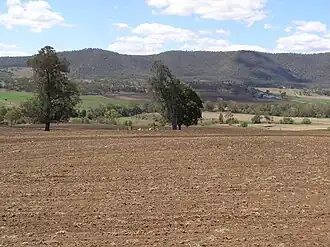 Upper Freestone landscape, 2007