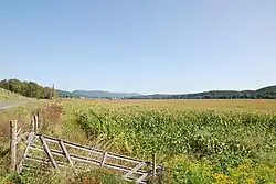 Corn fields with Upper Tract in the back