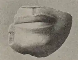 Fragment of an alabaster statue of Userkaf from his sun temple, now at the Egyptian Museum of Berlin[174]