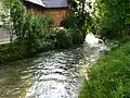 Ustermer Aa in Uster
