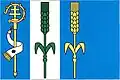 Flag of Výškov
