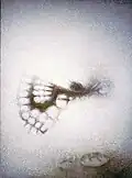 Mechanical Butterfly (1973).
