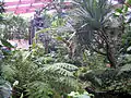 In the jungle hall