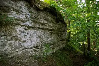 Vahtrepa Cliff