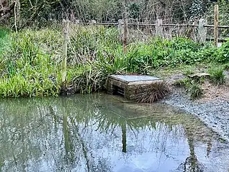 Headwaters at Vale of Health Pond drain to the Hampstead Stream