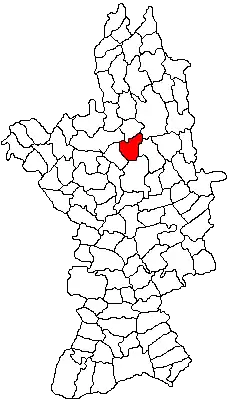 Location in Olt County