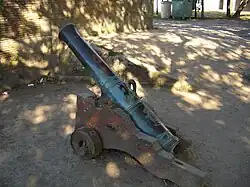 Cannon