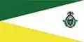 Flag of Valle de Ángeles