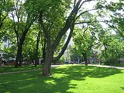 Old Church Park