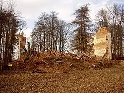 Ruins of the main building of Vara Manor, 2008