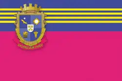 Flag of Vasylivka Raion