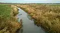 The Egå stream, just before it empties into the meadow-lake of Egå Engsø.