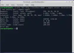 A command run via vegeta with the resulting output