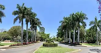 New Farm Park