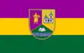 Flag of Verkhnia Syrovatka
