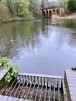 Viaduct Pond drains to downstream ponds