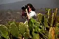 Victor Diaz Lamich in Mexico