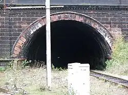One end of a small, overgrown tunnel