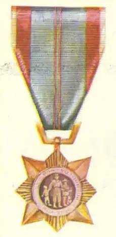 Vietnam Civil Action Medal (First Class) with Palm (Unit Citation)