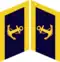 Vietnam navy general collar tabs rank