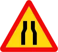 W.203a: Road narrows ahead on both sides