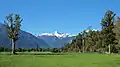 View across paddocks near Lake Matheson towards Lyttle Peak