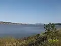 A view from the B. S. R. A. toward Mount Diablo