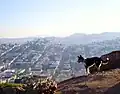 View from the hill