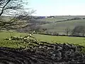 The view from Trevivian across the Inny valley towards Treglasta