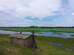 Countryside of Sarishabari