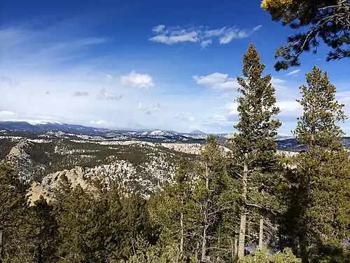 View of the densely forested areas surrounding Eldora Lodge at Wondervu.
