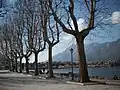 View of Lake Como from Lecco