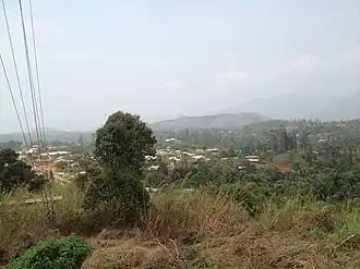 View of forested area in Batibo