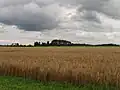 Vilama hill