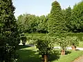 Lemon garden
