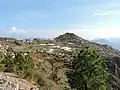 Village Mahog