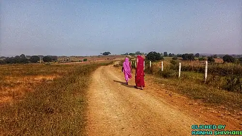 Village Street of mehta in seoni district