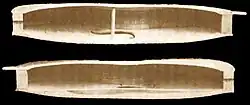 Figura 1. Secció mostrant l'ànima.