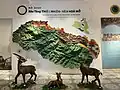Open Nature Museum