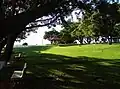 Partial view of the campground in Avaré