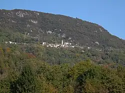 Vito d'Asio