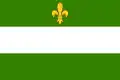 Flag of Benešovice