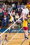 Women's volleyball team v Texas A&M Commerce, 2013