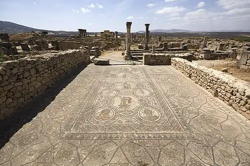 View of a mosaic in situ in a house in Volubilis