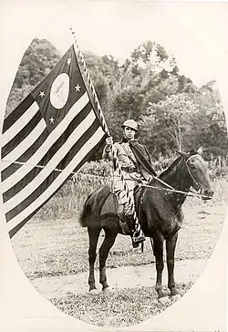 A soldier on horseback with a large Paulista flag